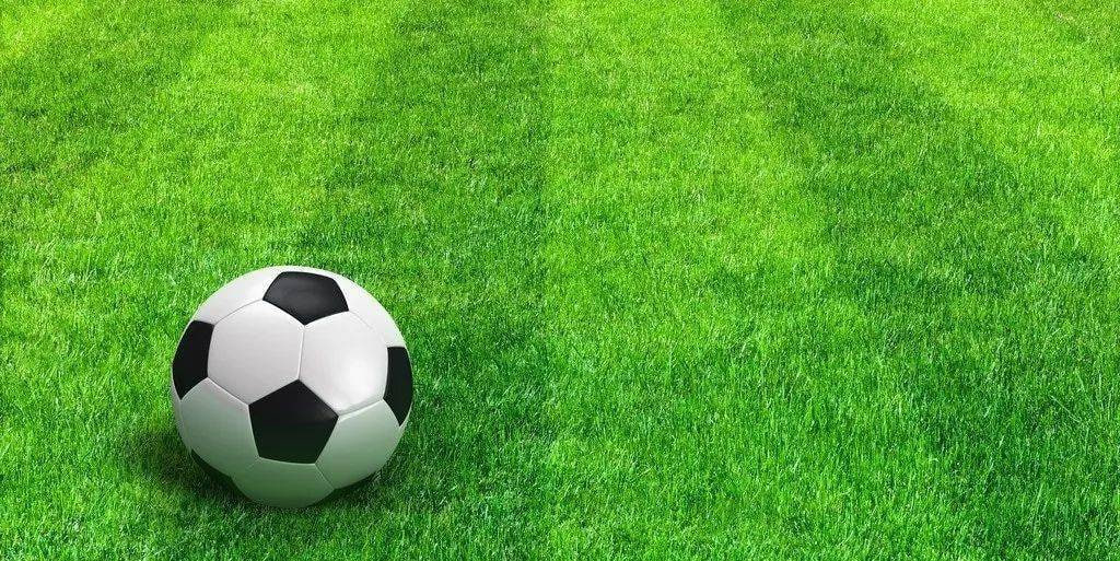 大学教授王老师研究案例